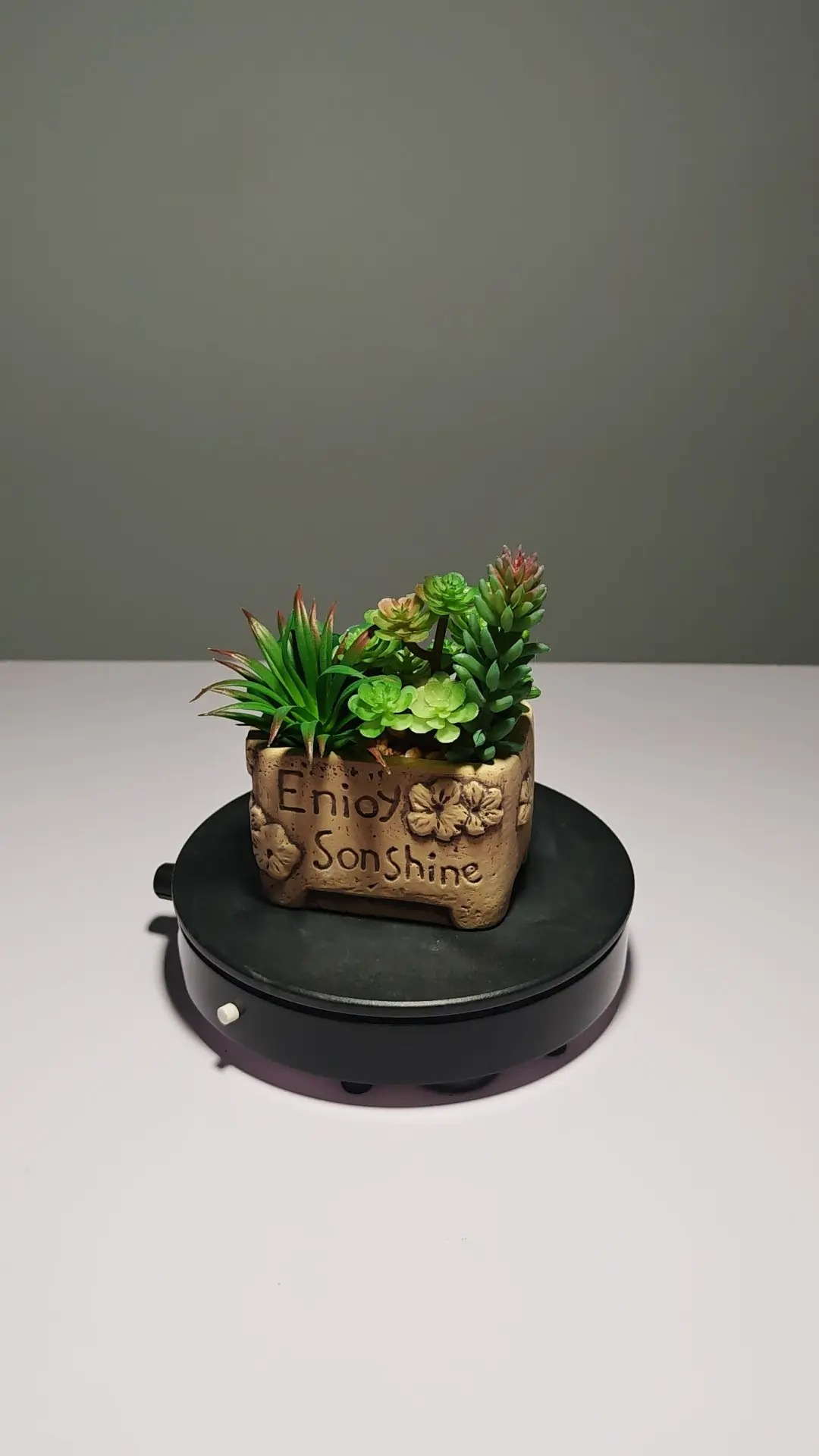 DR0052 (6) - Suculenta de Textura Peluda Artificial