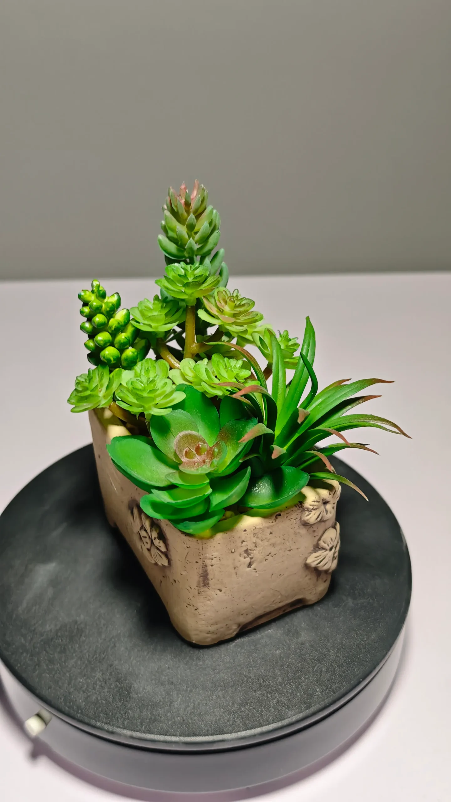 DR0052 (8) - Suculenta de Textura Peluda Artificial