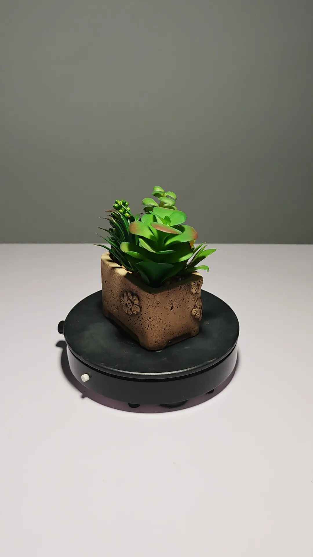 DR0053 (1) - Suculenta Artificial Fácil de Colocar