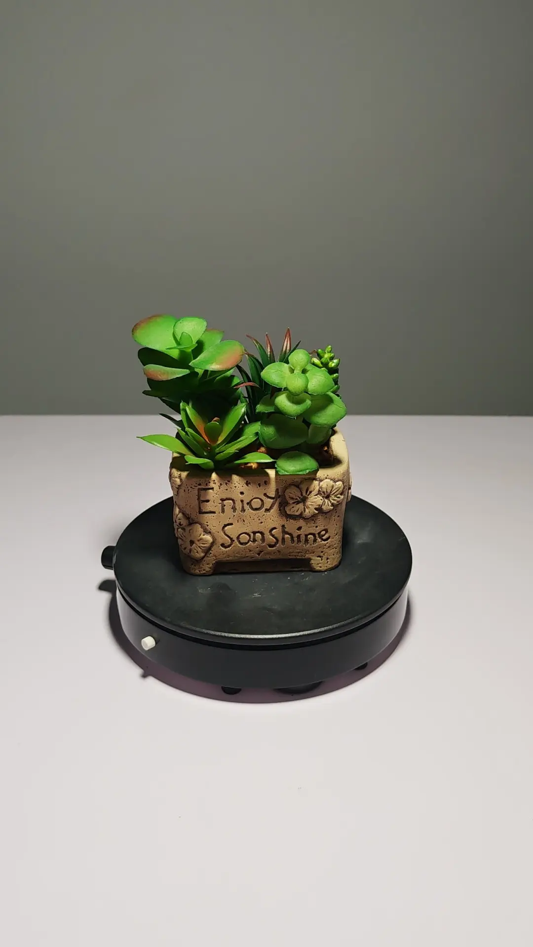 DR0053 (2) - Suculenta Artificial Fácil de Colocar