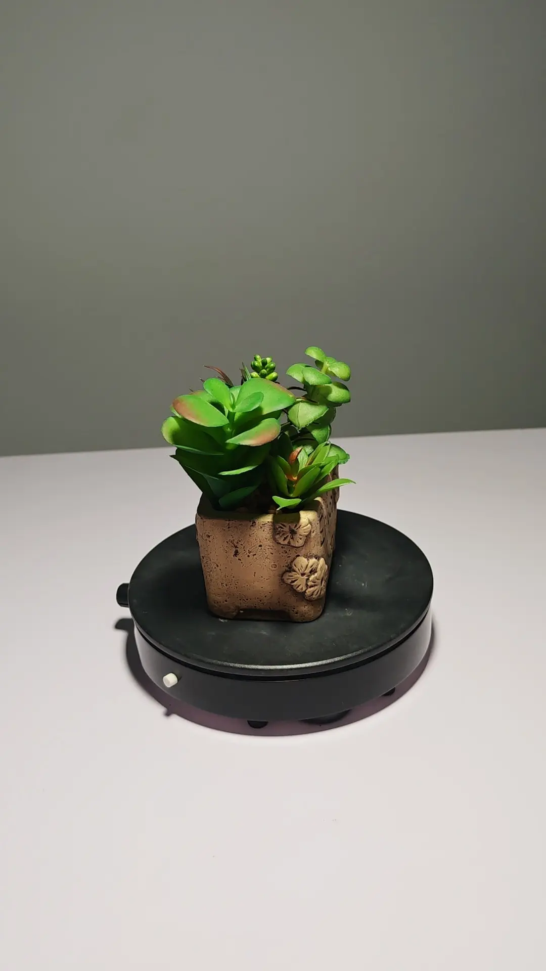 DR0053 (3) - Suculenta Artificial Fácil de Colocar