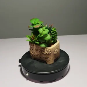 DR0053 (4) profile - Suculenta Artificial Fácil de Colocar