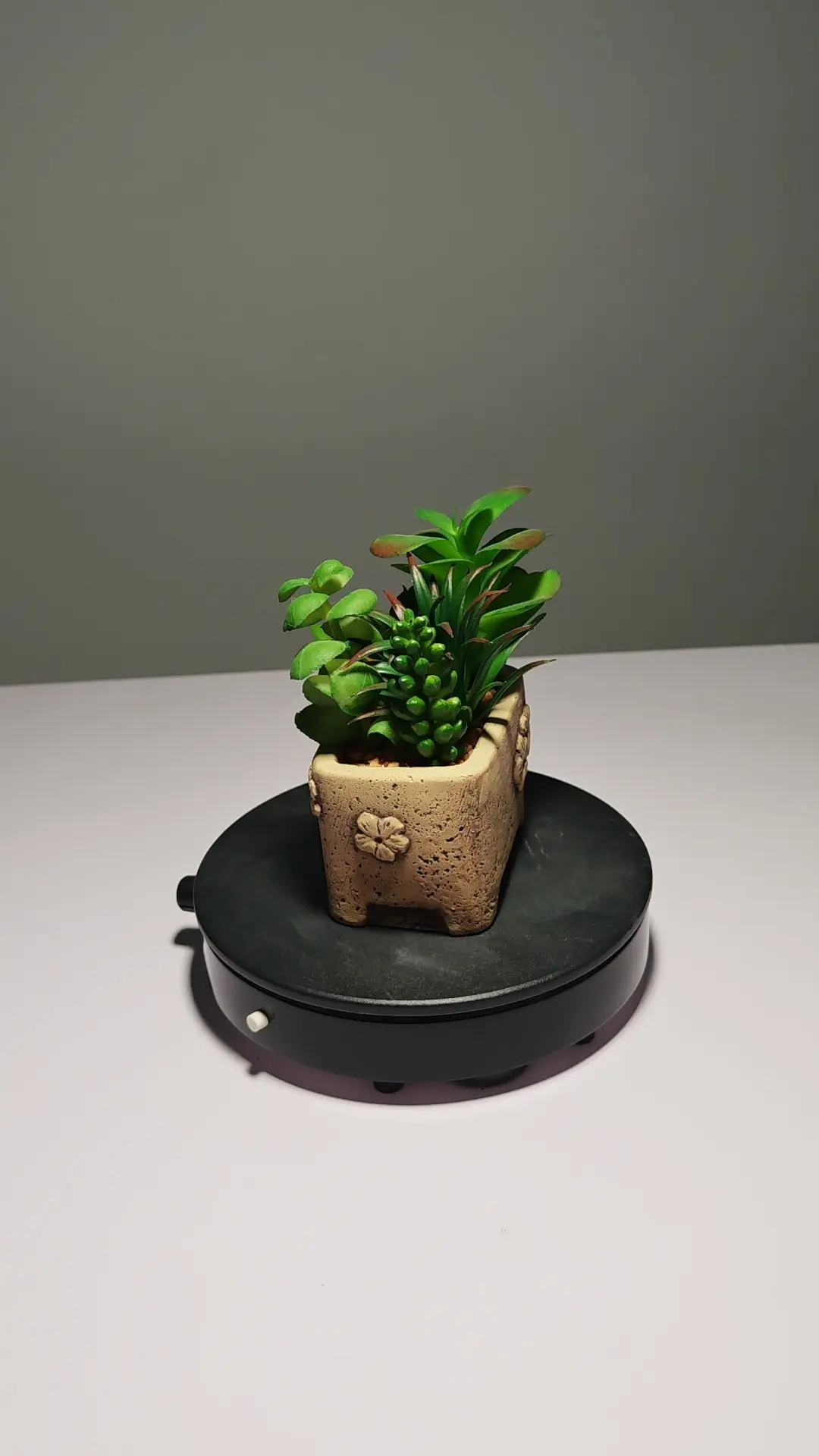 DR0053 (5) - Suculenta Artificial Fácil de Colocar