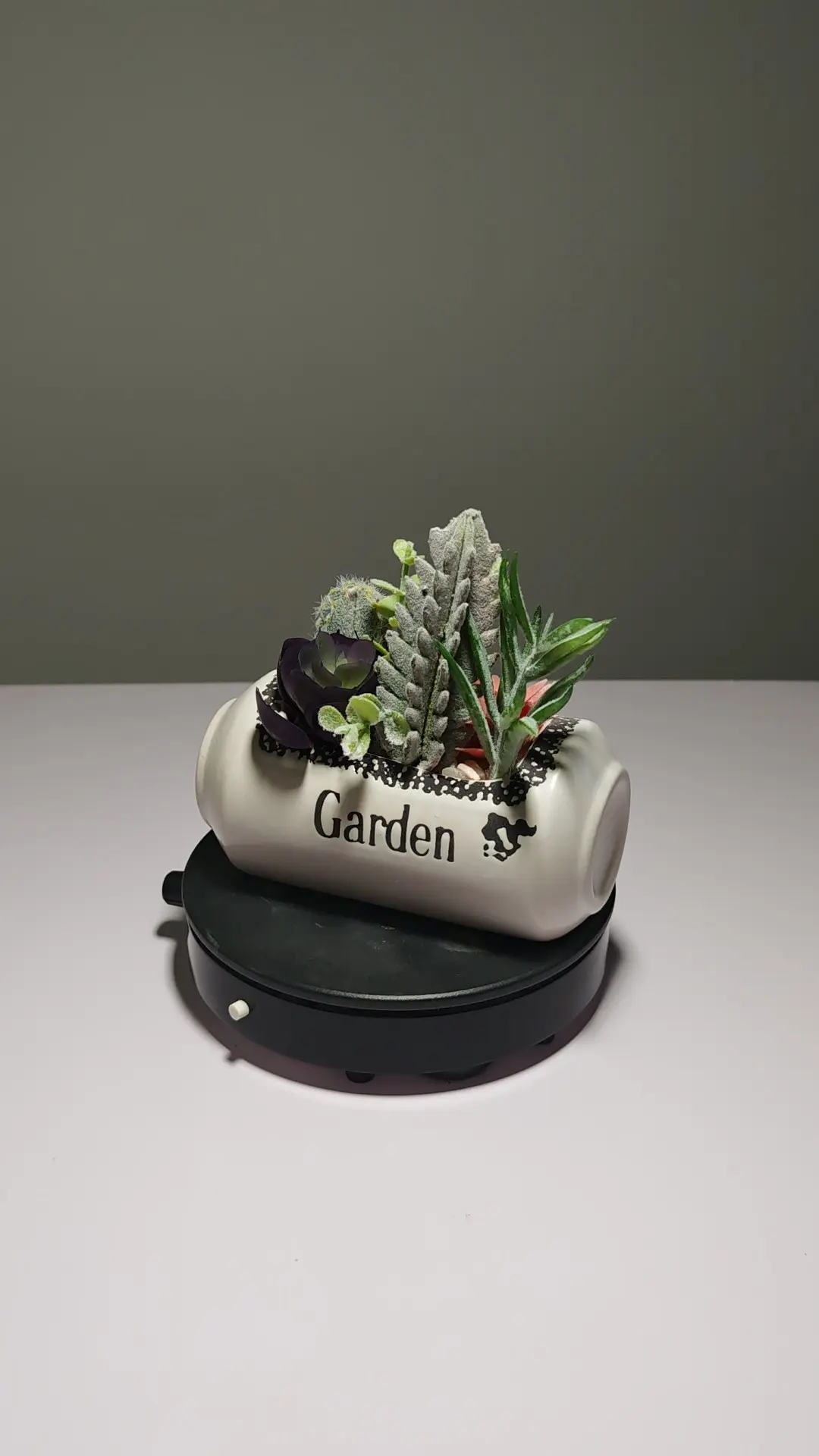 DR0057 (1) - Decoración de Suculentas para Hogar