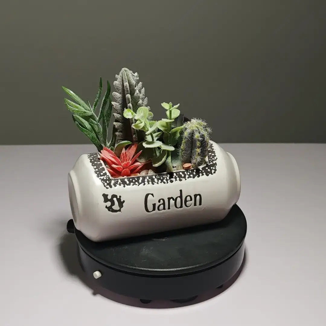 DR0057 (2) profile - Decoración de Suculentas para Hogar