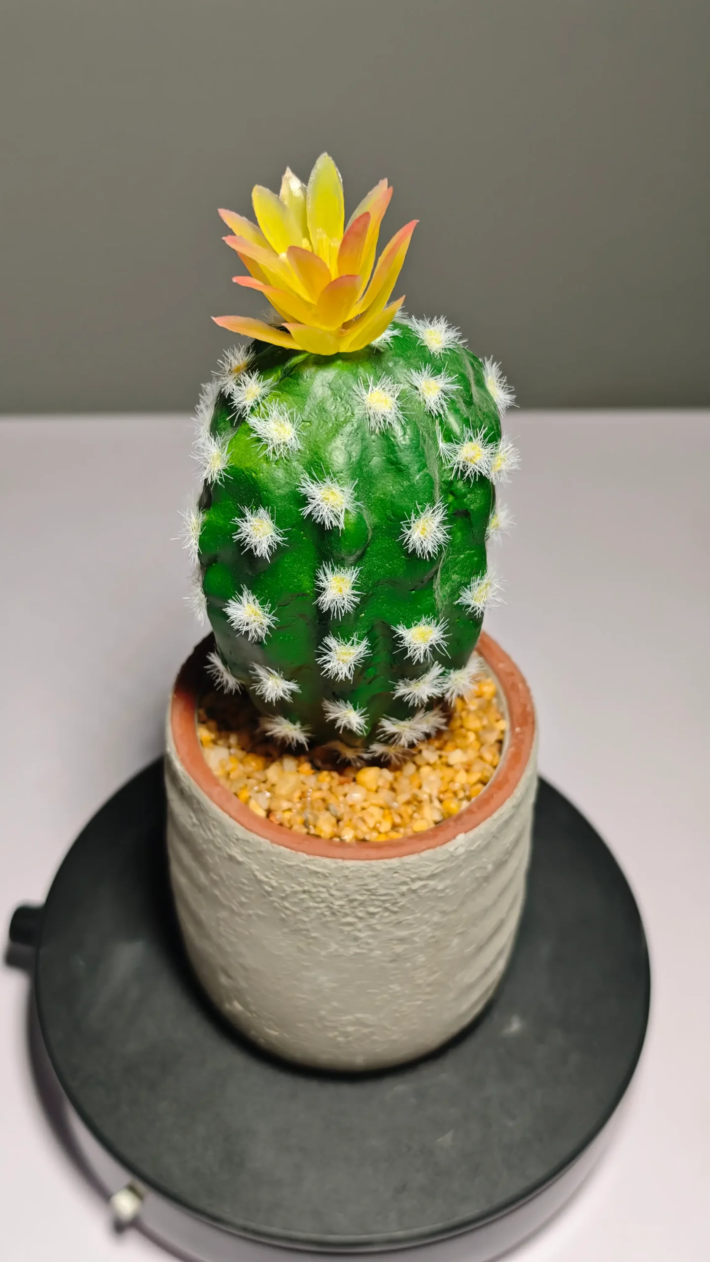 DR0058 (3) - pequeñas artificiales plantas