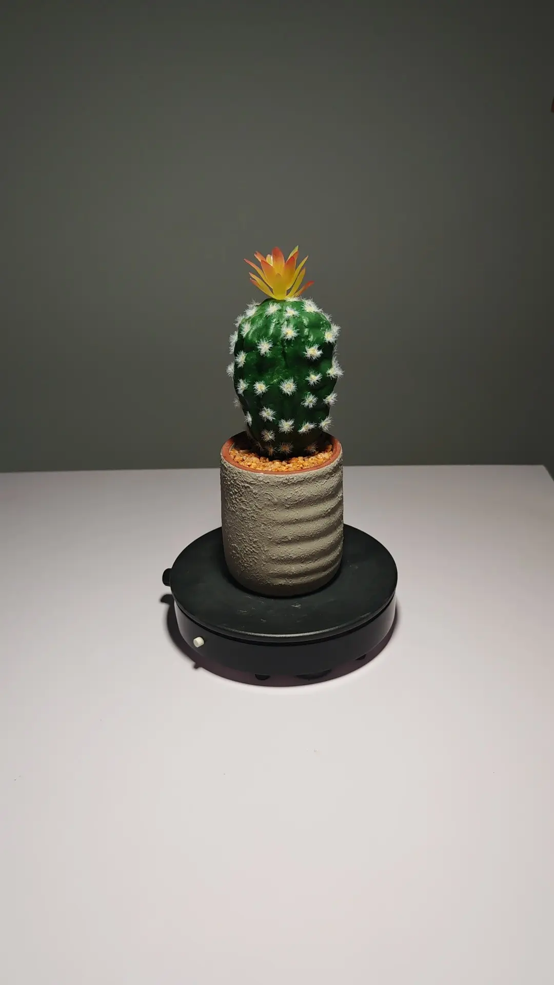 DR0058 (4) - pequeñas artificiales plantas