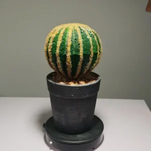 DR0059 profile - Cactus Artificial con Maceta