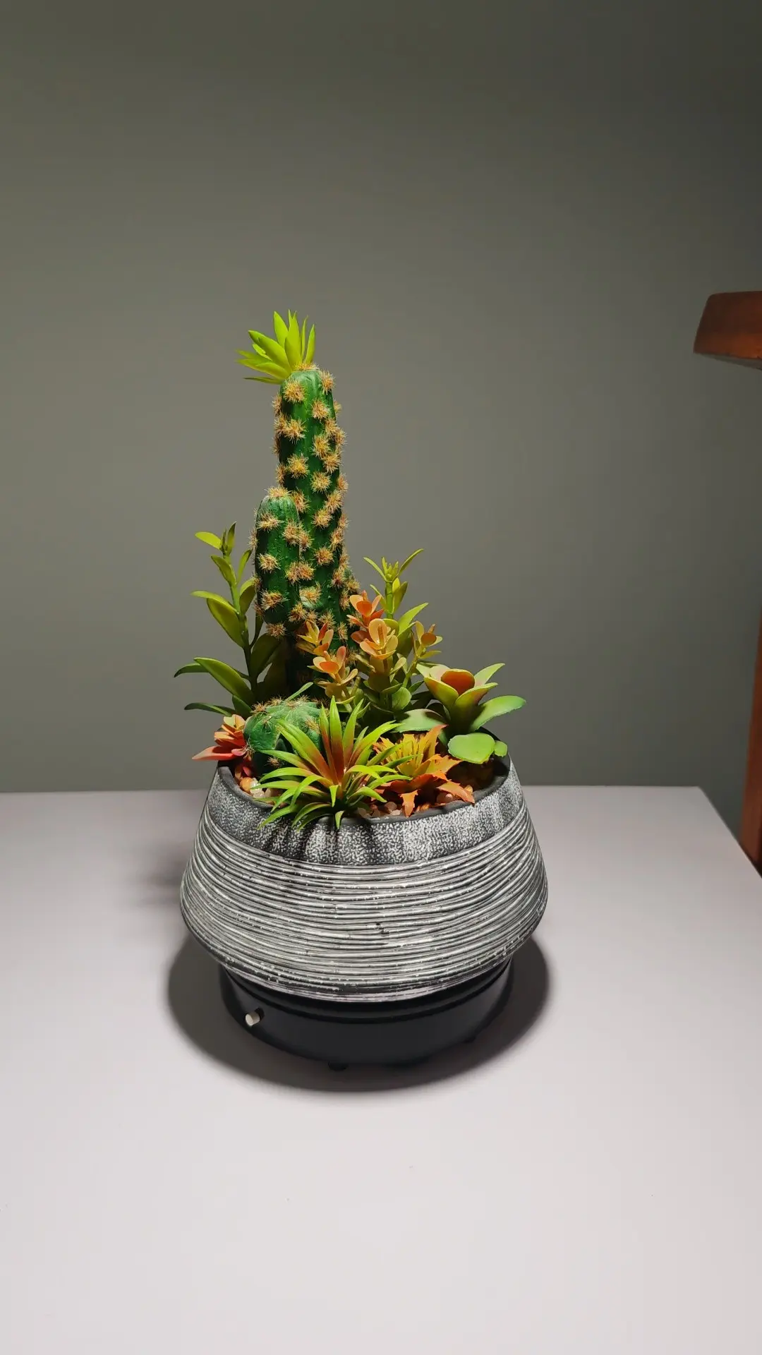 DR0060 (3) - Suculenta de Alta Calidad