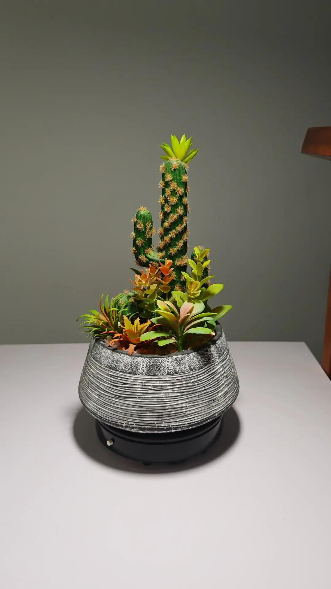 DR0060 (4) - Suculenta de Alta Calidad