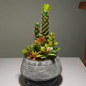 DR0060 (4) profile - Suculenta de Alta Calidad