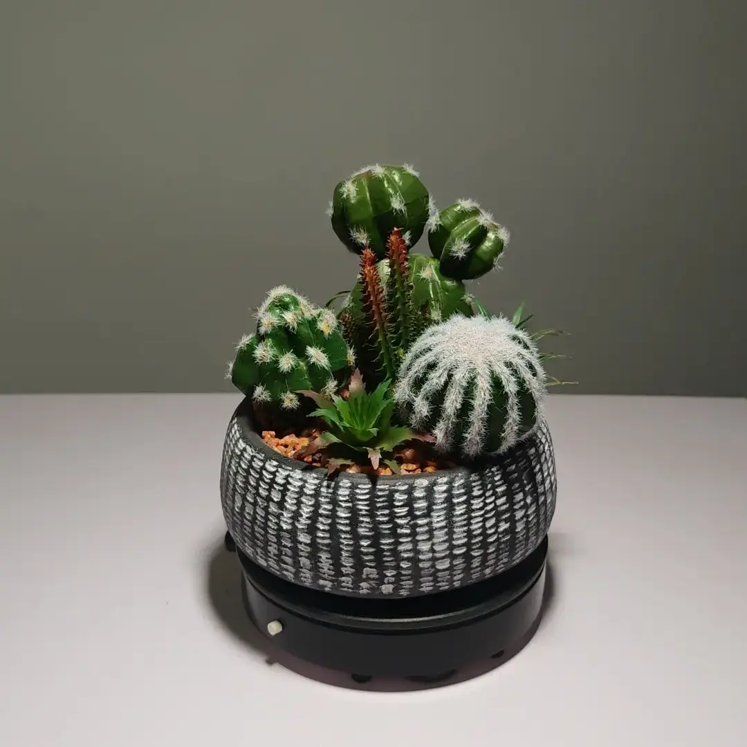 DR0062 (2) profile - suculentas artificiales cactus