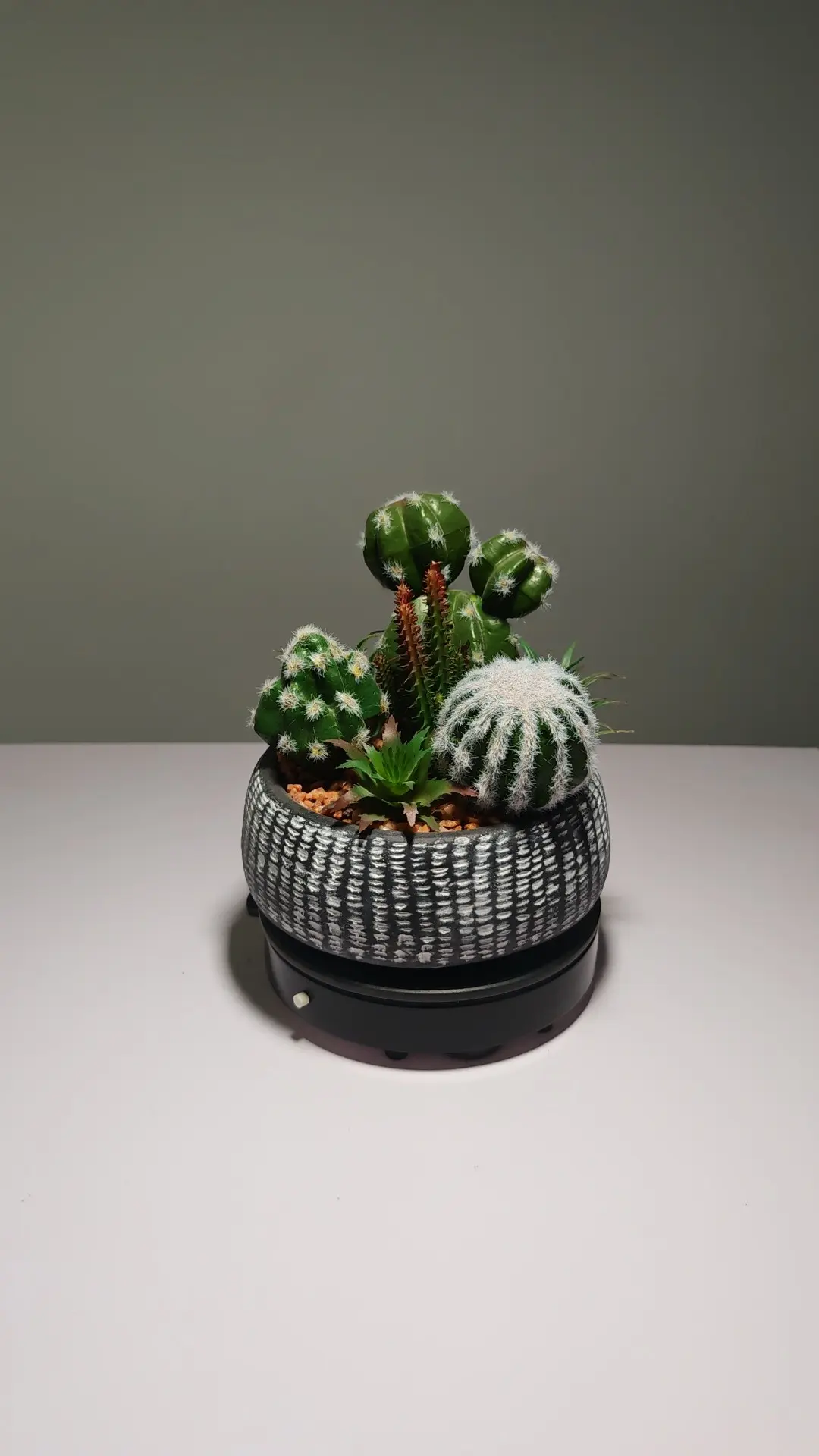 DR0062 (2) - suculentas artificiales cactus