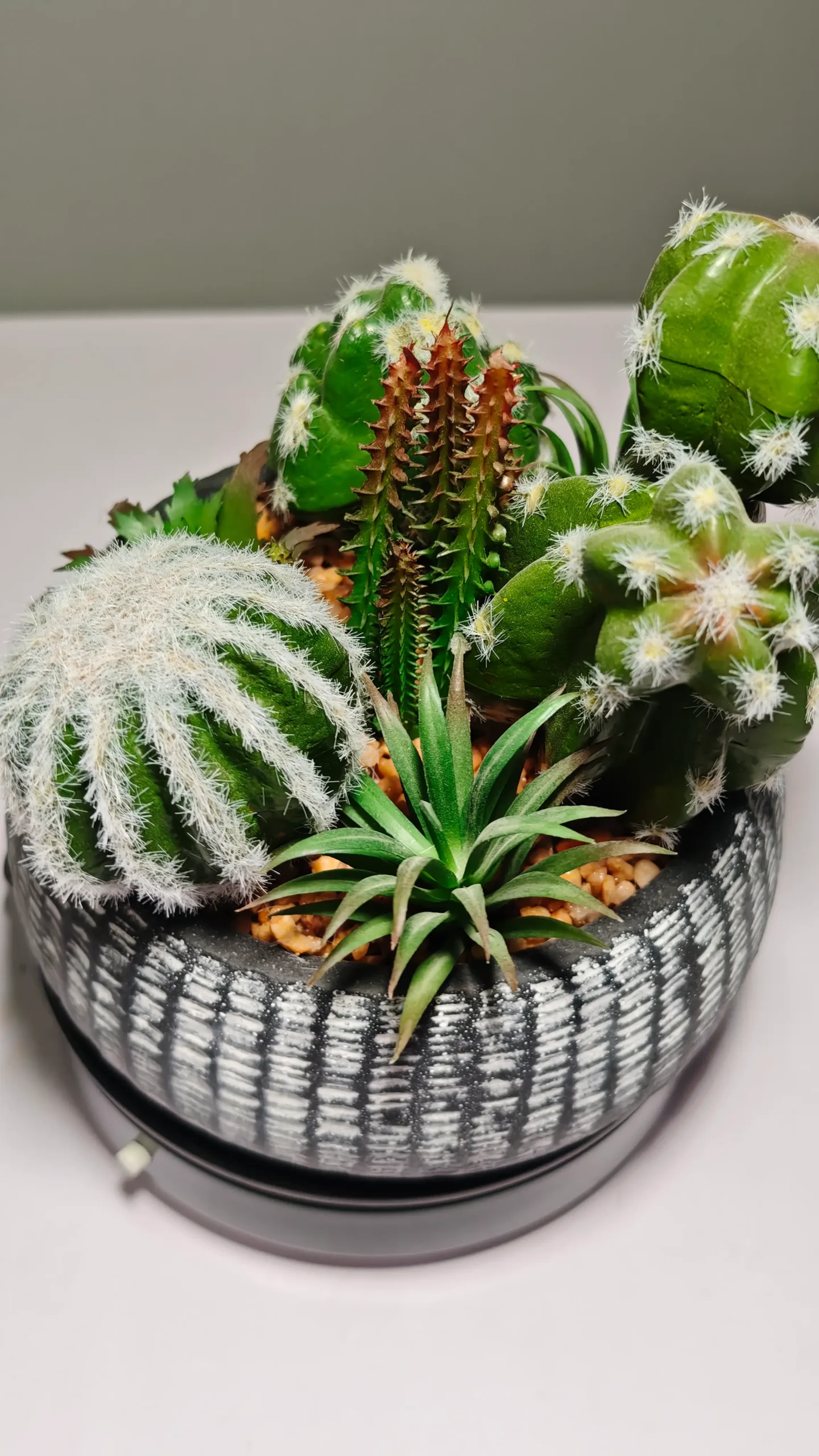 DR0062(5) - suculentas artificiales cactus