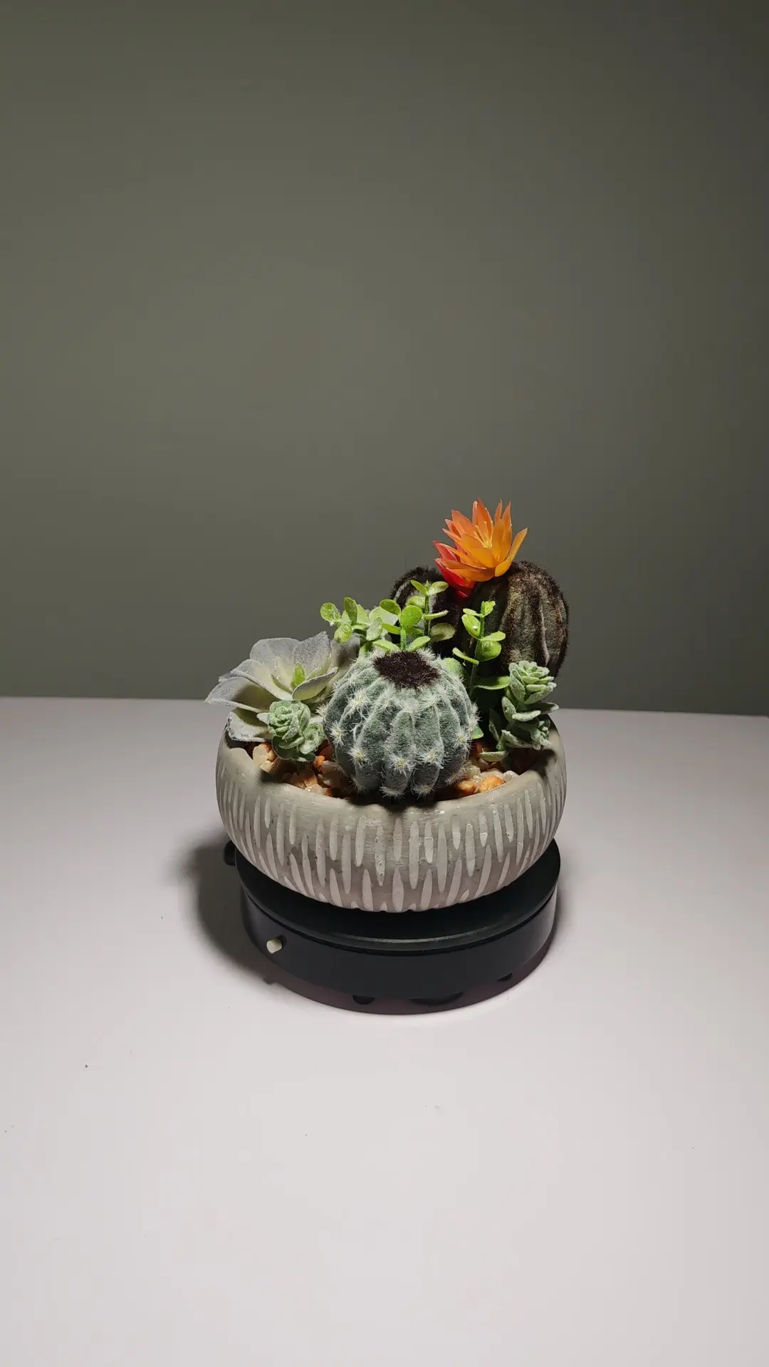 DR0063 (4) - ideas de decoración con plantas artificiales