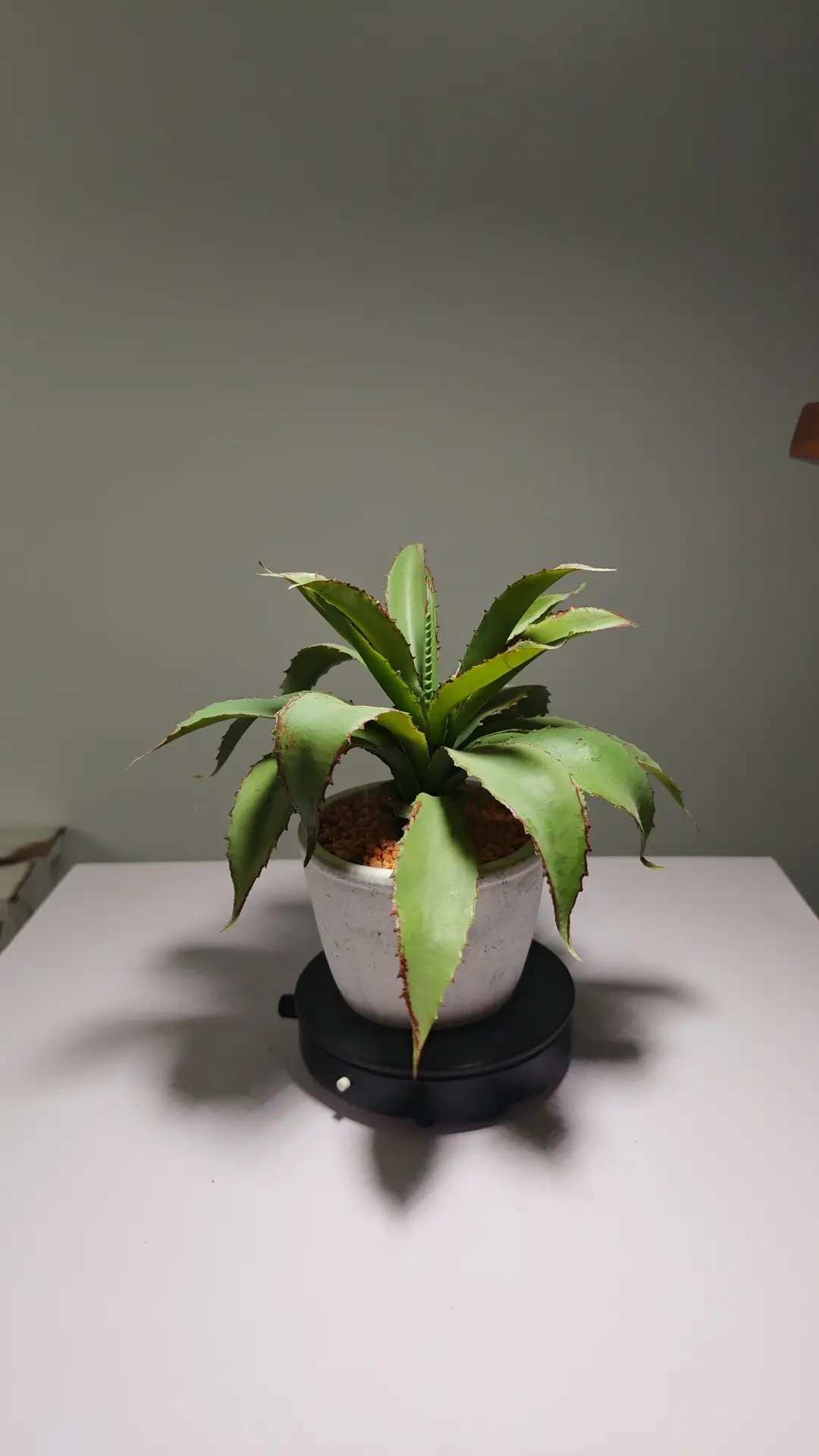 DR0066 (1) - hojas de plantas artificiales al por mayor