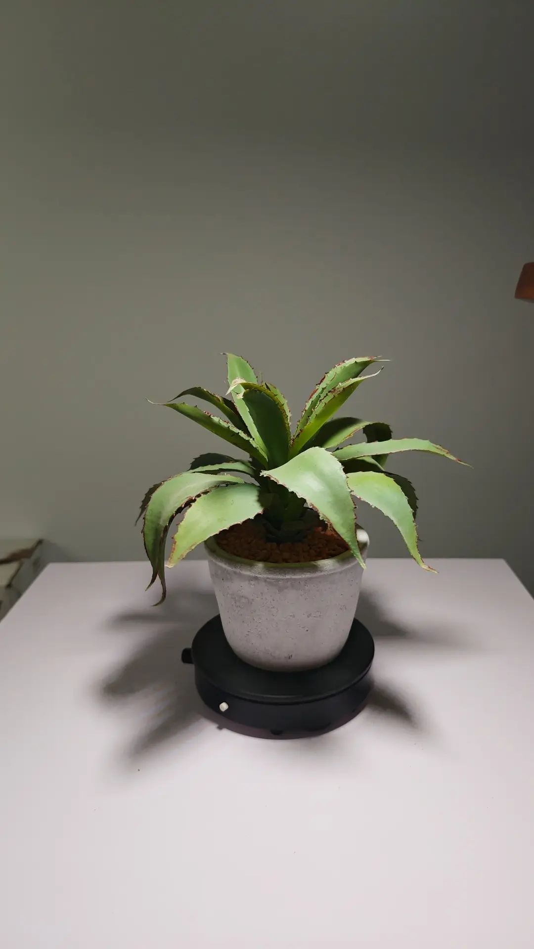 DR0066 (3) - hojas de plantas artificiales al por mayor