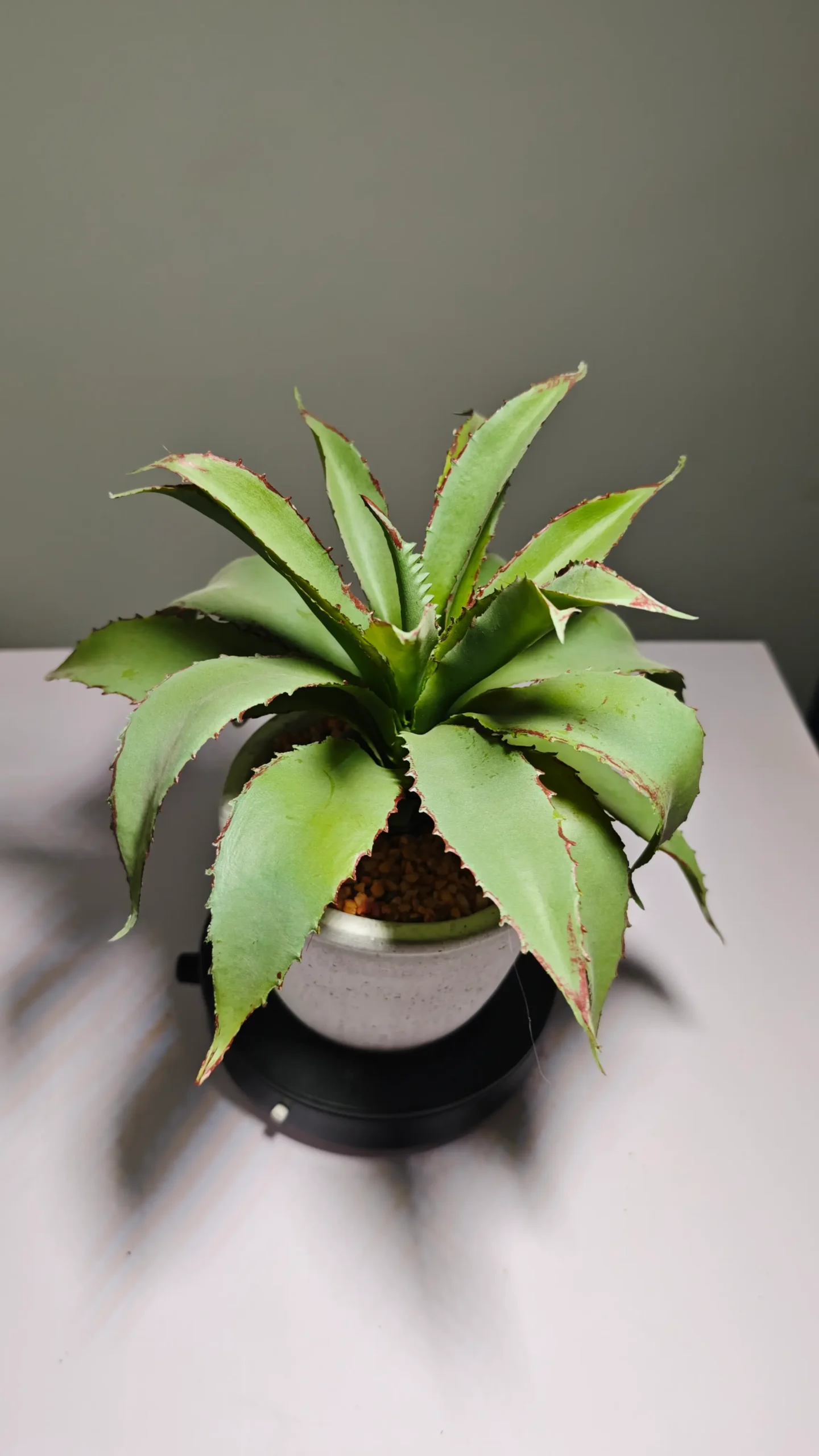 DR0066 (5) - hojas de plantas artificiales al por mayor