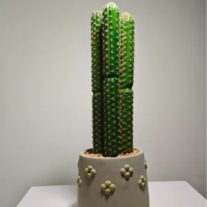 DR0069 (2) profile - decoração suculenta artificial grande