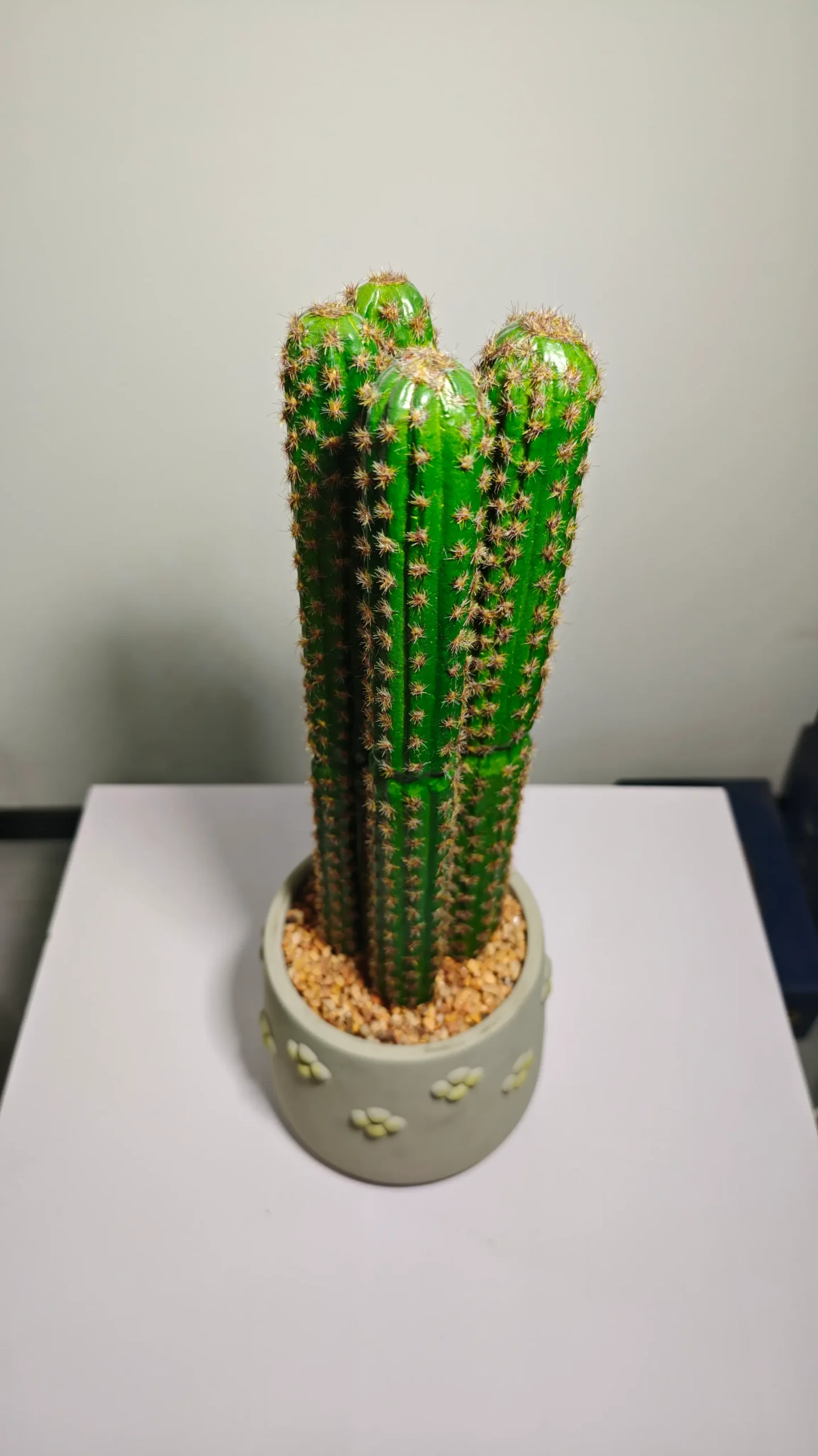 DR0069 (3) - decoração suculenta artificial grande