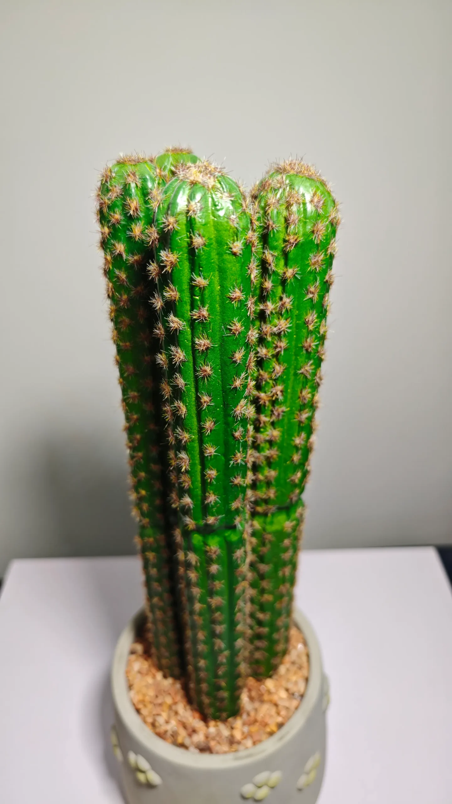 DR0069 (4) - decoração suculenta artificial grande