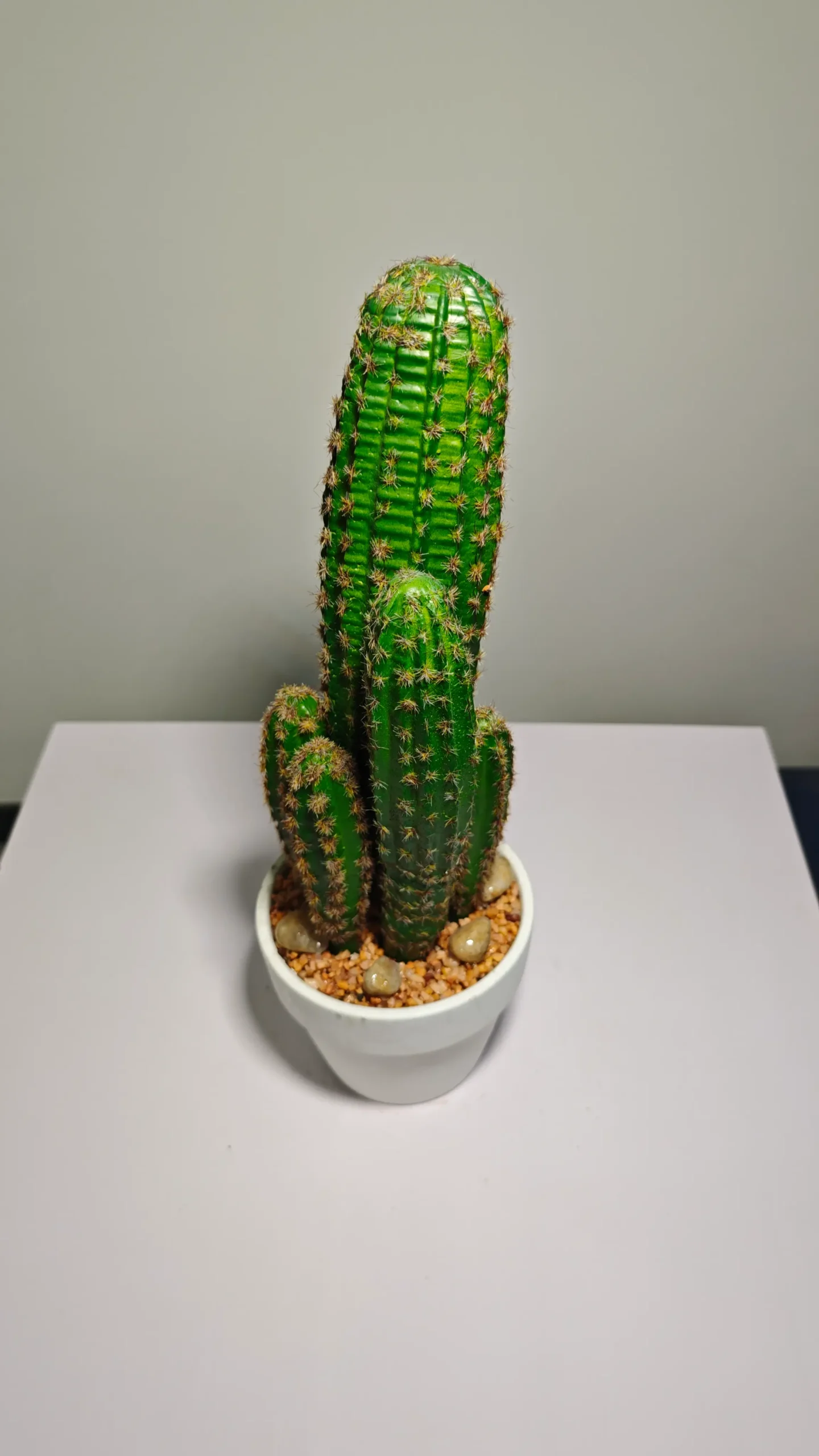 DR0070 (3) - suculenta gigantes realista decor