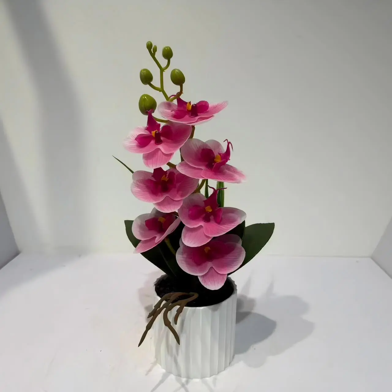 HD011 profile - Orquídea Falsa con Detalles Exquisitos