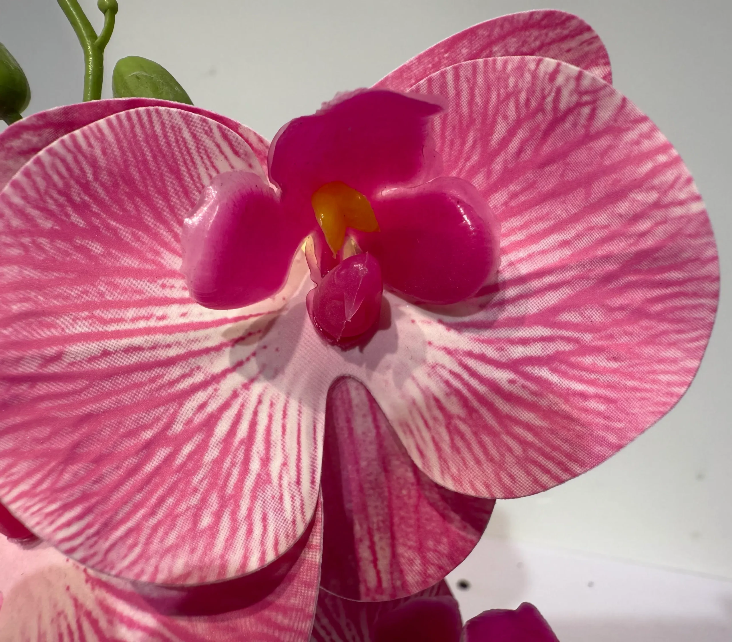 HD013 A - Orquídea Phalaenopsis de Diseño Moderno