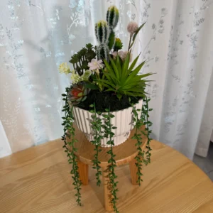 DR0074 (3) profile - Maceta de suculenta artificial