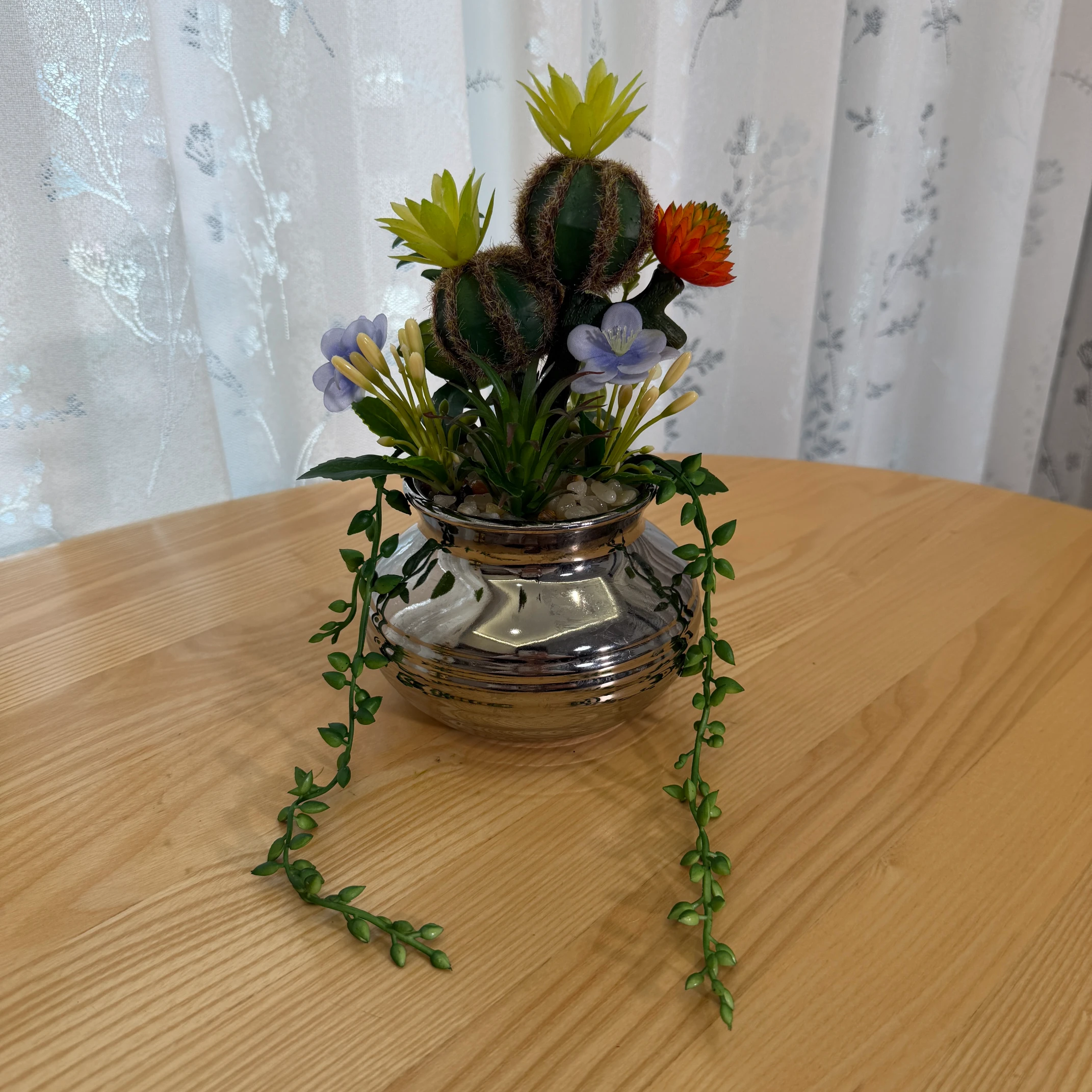 DR0076 (1) profile - Decoración de Suculentas Colgantes para Hogar