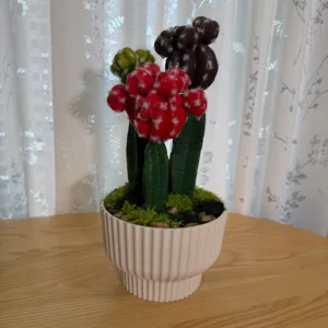 DR0077 (2) profile - Arreglo de Suculentas Sin Mantenimiento