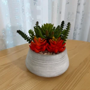 DR0079 (1) profile - Suculentas Artificiales de Estilo Nórdico