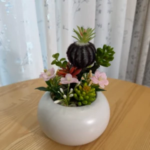 DR0084 (1) profile - Arreglo de Suculentas y Flores Artificiales