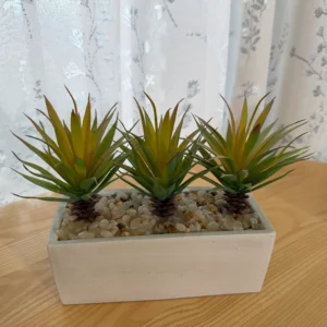 DR0086 (1) profile - Suculentas Artificiales de Tres Hojas