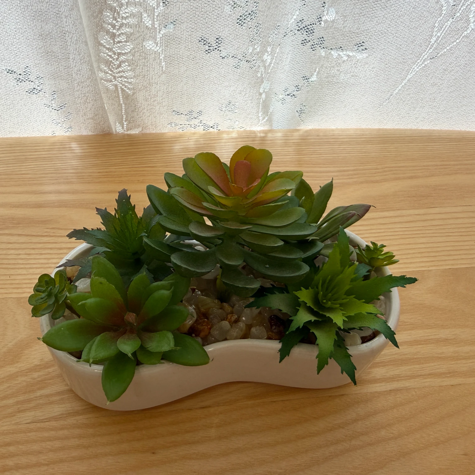 DR0088 (1) - Decoración con Suculentas Artificiales