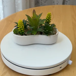 DR0090 (2) profile - Suculentas Artificiales con Espigas Amarillas