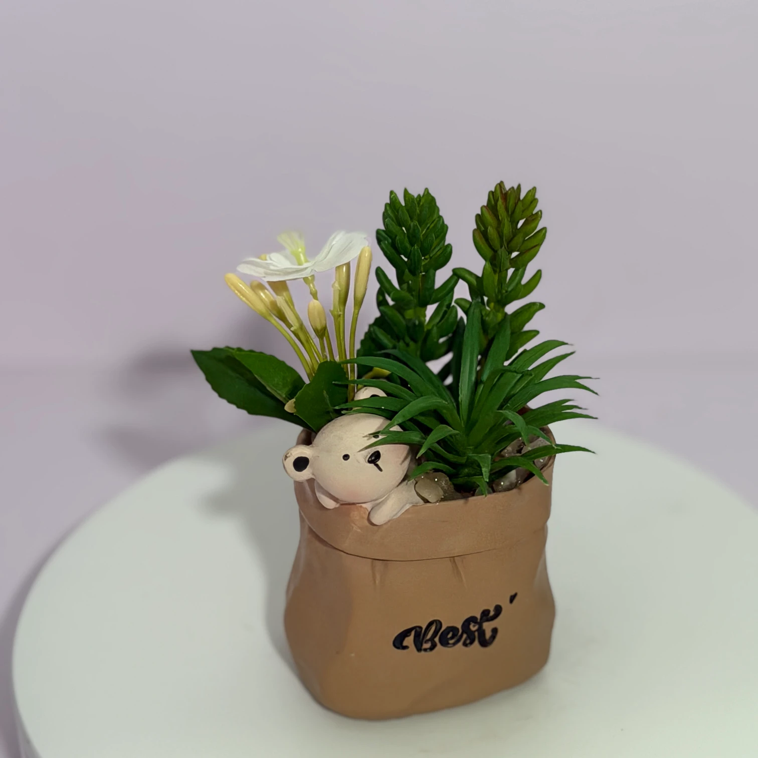 DR0092 (3) - Suculentas Artificiales con Oso de Peluche