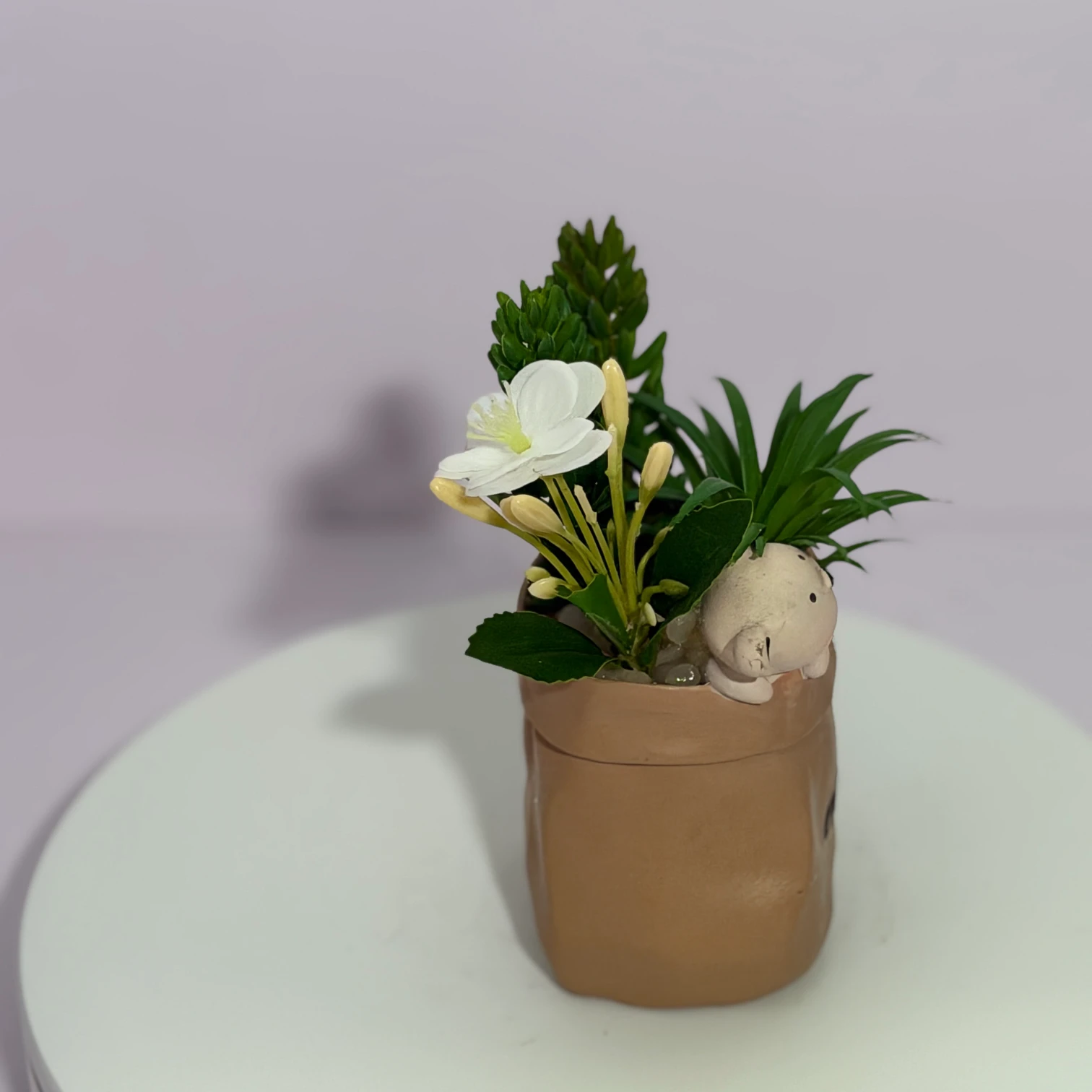 DR0092 (4) - Suculentas Artificiales con Oso de Peluche