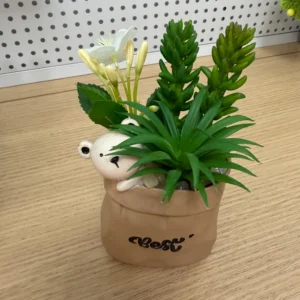 DR0092 (7) profile - Suculentas Artificiales con Oso de Peluche