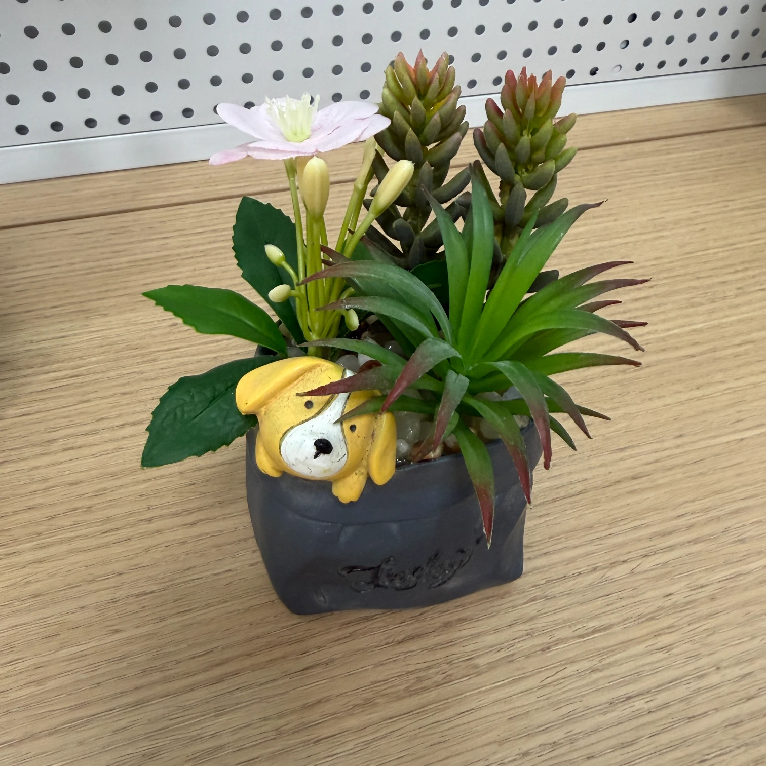 DR0093 (1) profile - Decoración con Suculentas y Flores