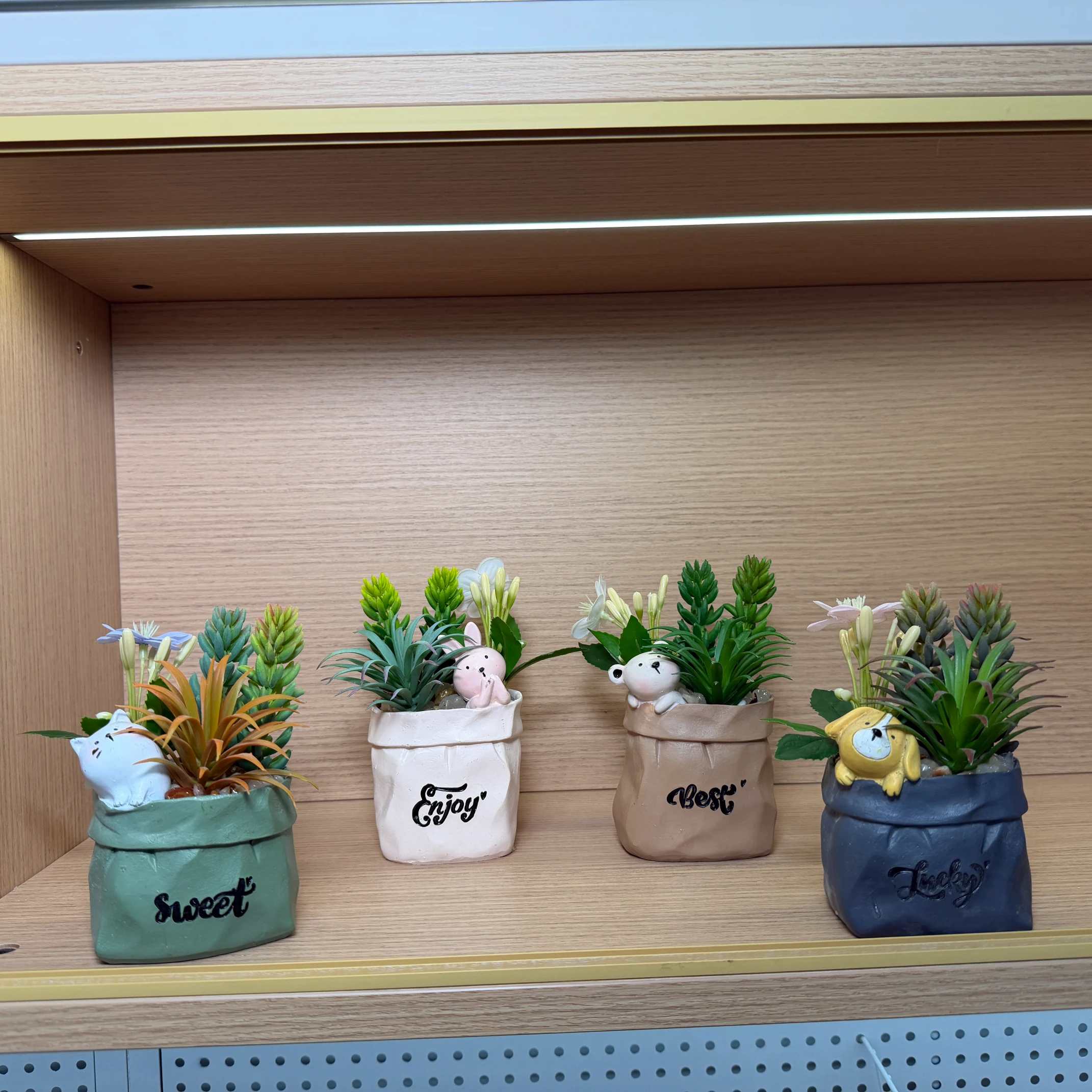 DR0093 (4) - Decoración con Suculentas y Flores