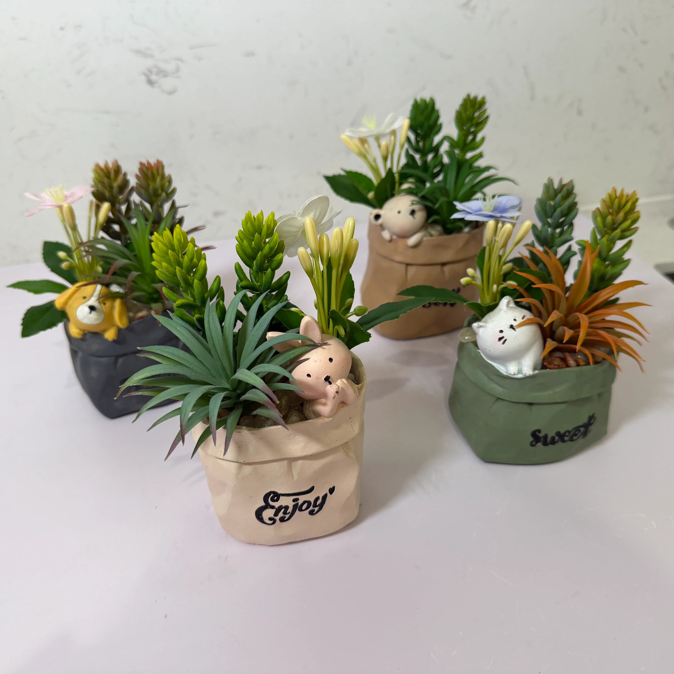 DR0094 (1) - Mini Jardín de Suculentas y Flores