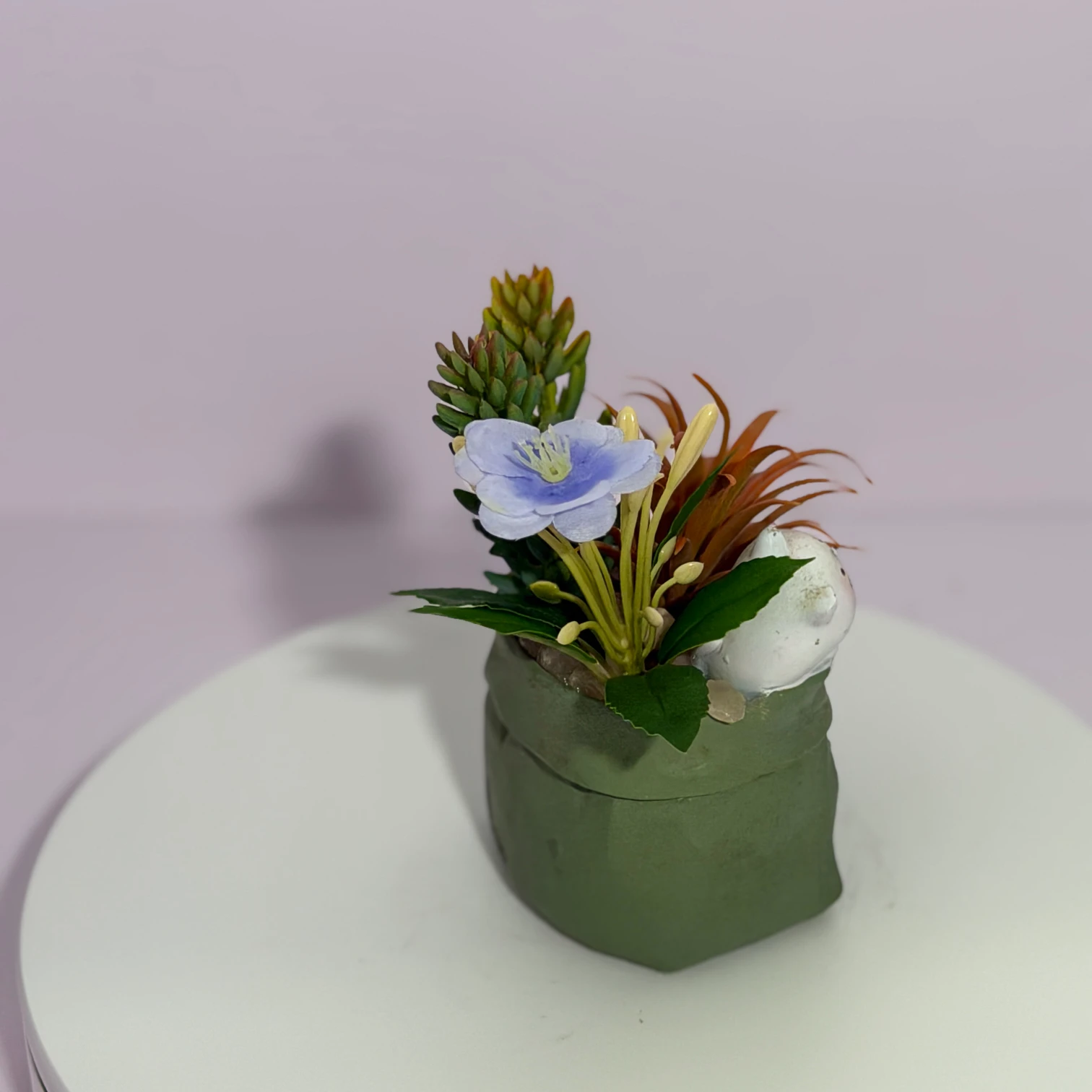 DR0094 (6) - Mini Jardín de Suculentas y Flores