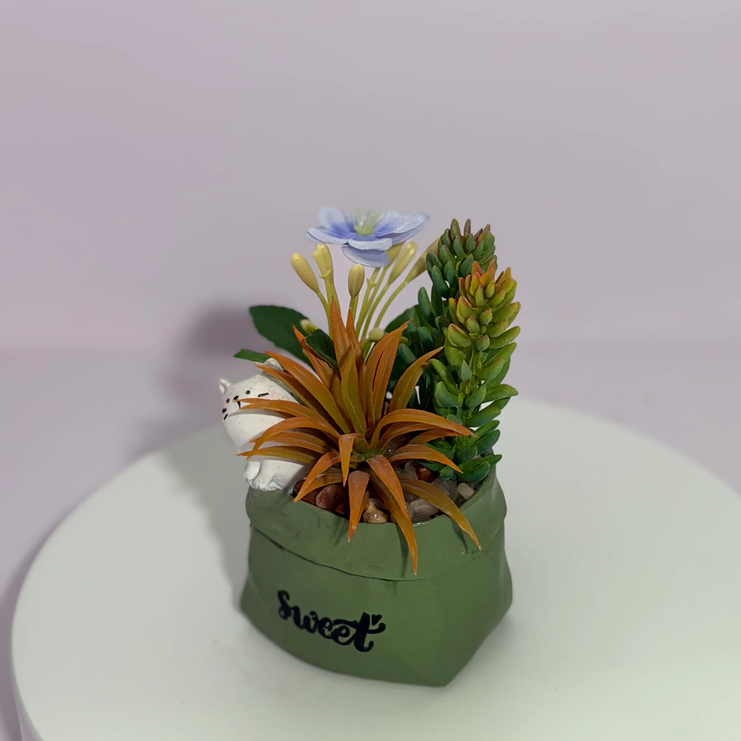 DR0094 (8) - Mini Jardín de Suculentas y Flores