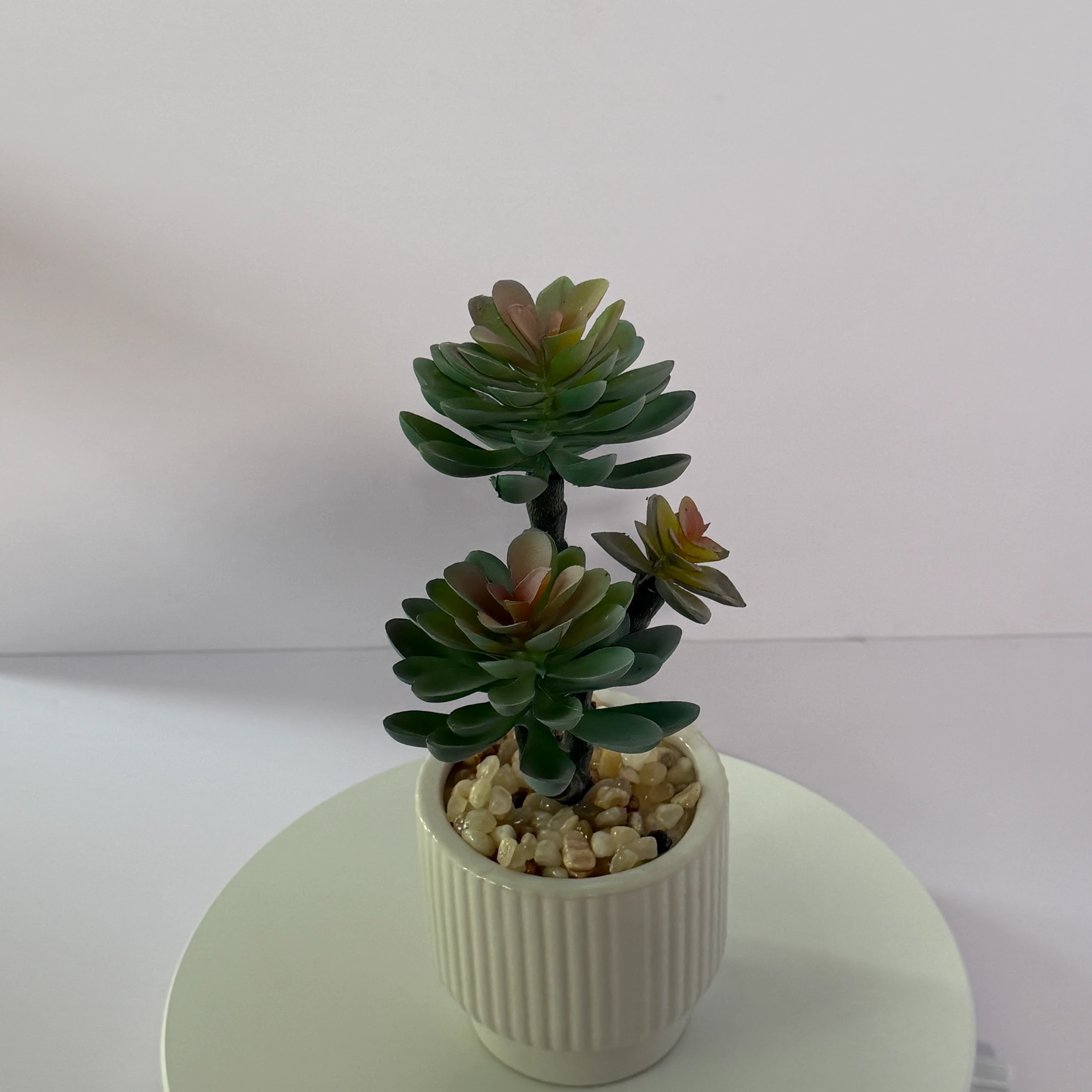 DR0097 (3) - Decoración para el Hogar sin Mantenimiento