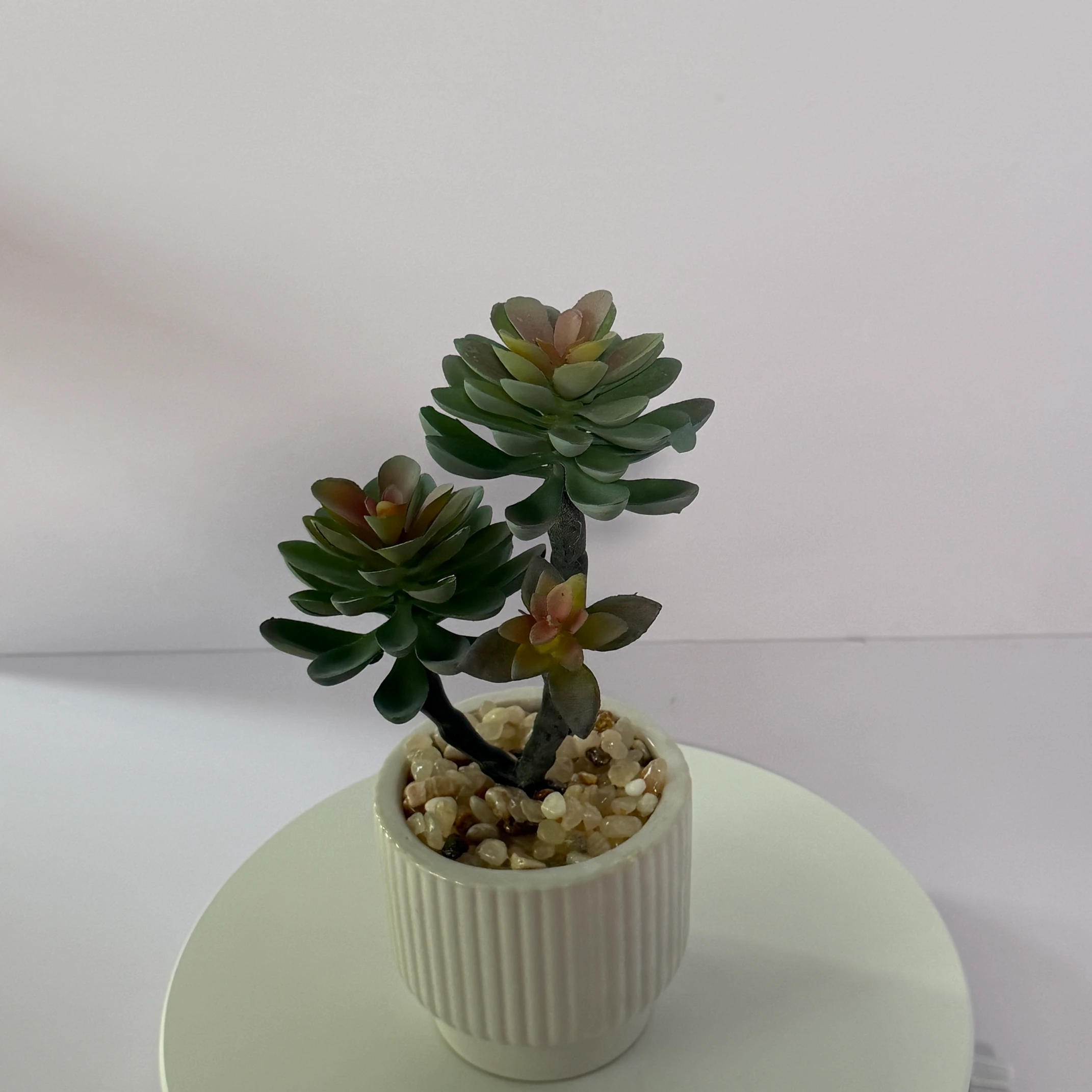 DR0097 (4) - Decoración para el Hogar sin Mantenimiento