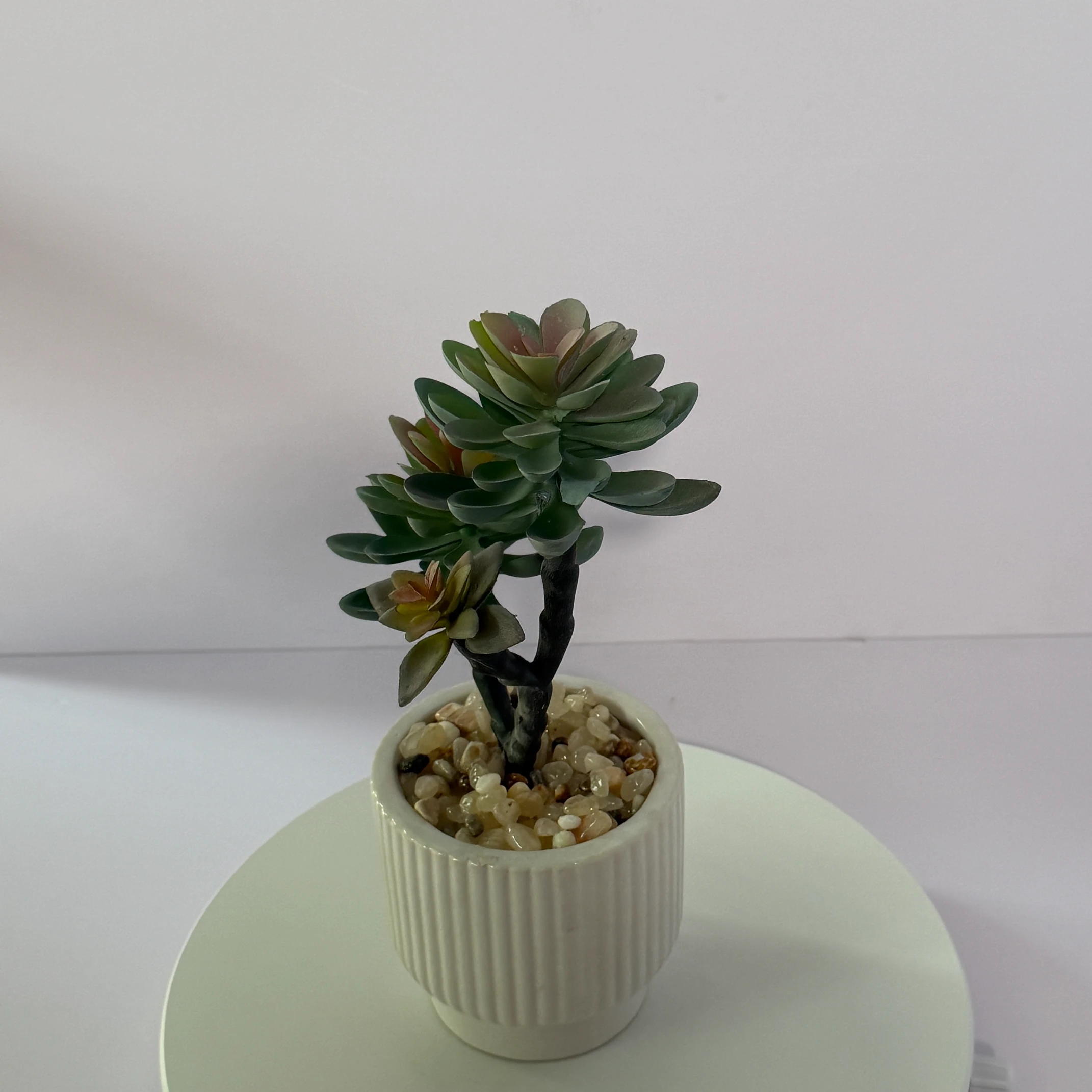 DR0097 (5) - Decoración para el Hogar sin Mantenimiento