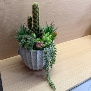 DR0103 (1) profile - Suculentas Artificiales DECO