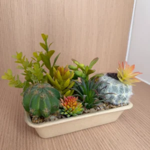 DR0107 (6) profile - Composiciones Suculentas Falsas