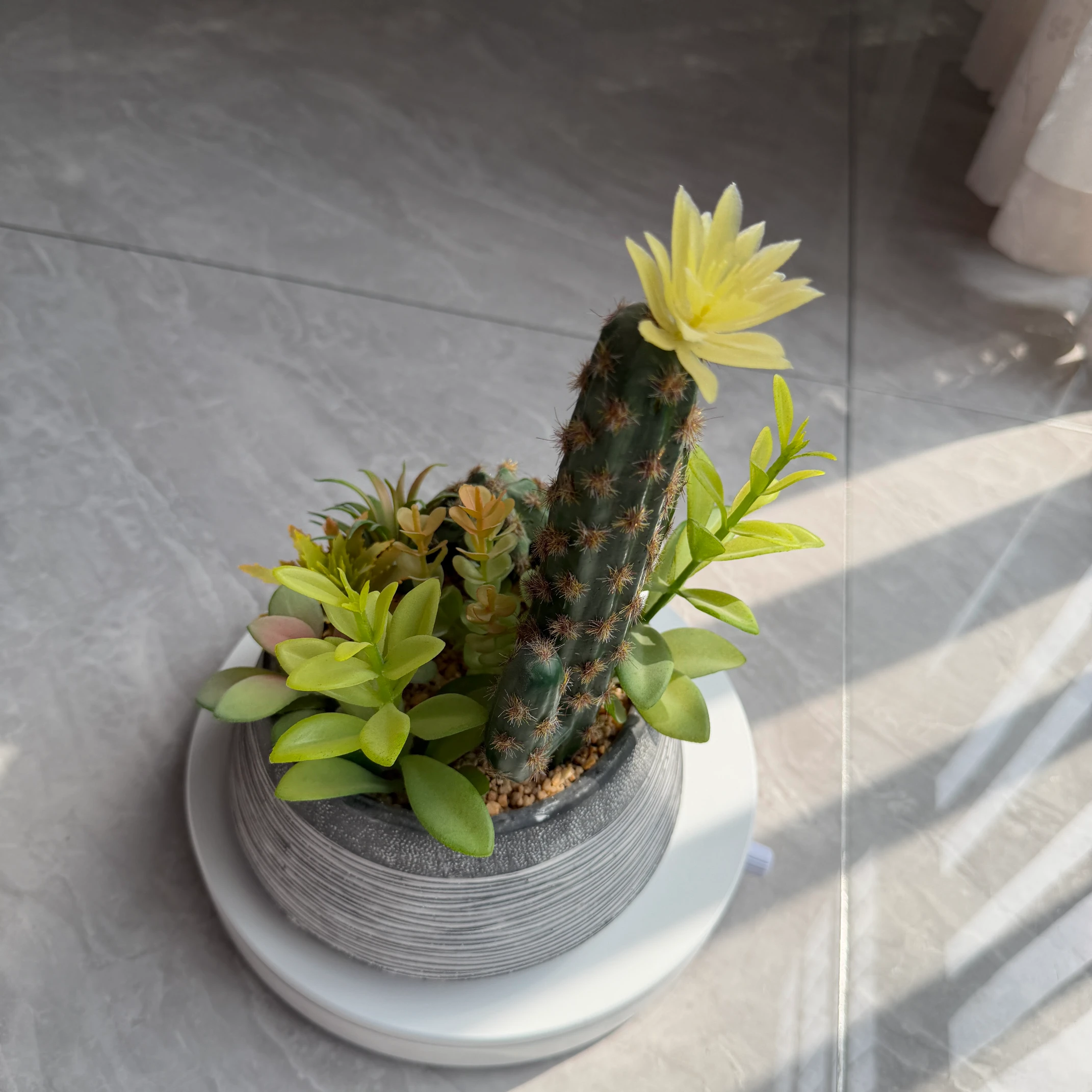 DR0108 (3) - Decoración Suculenta Premium